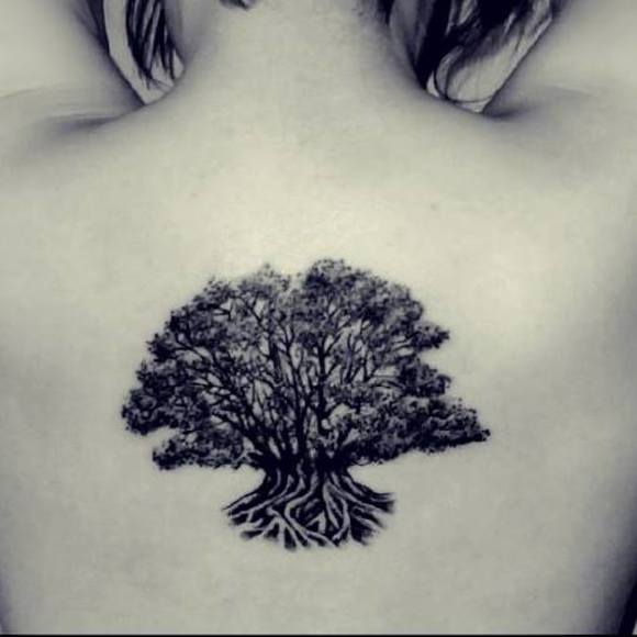 Meet your Posher, Catalina - Picture 1 of 1